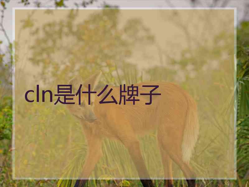 cln是什么牌子