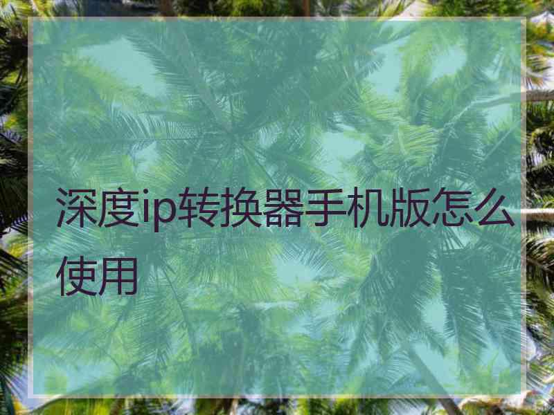 深度ip转换器手机版怎么使用