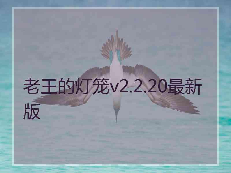 老王的灯笼v2.2.20最新版