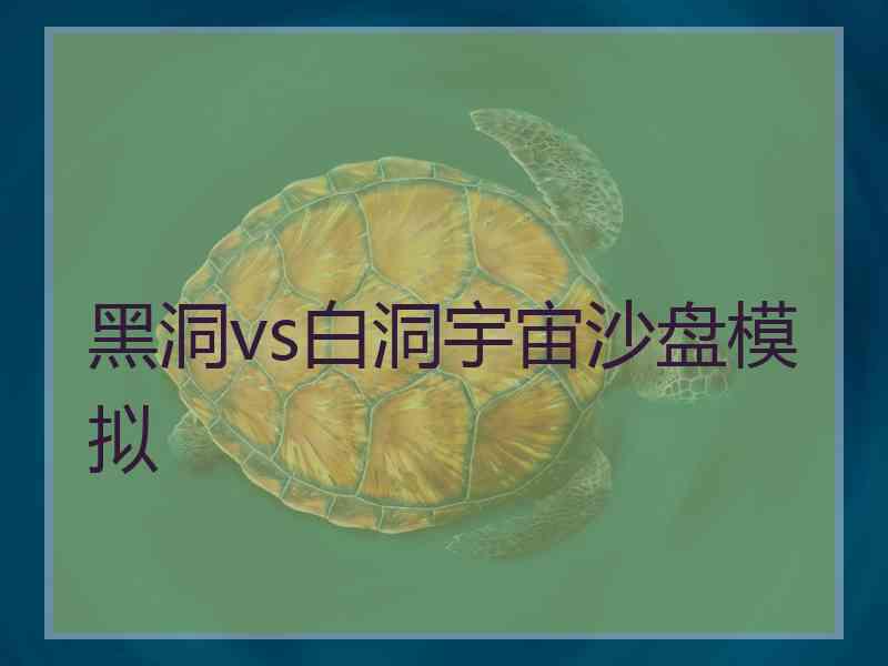 黑洞vs白洞宇宙沙盘模拟