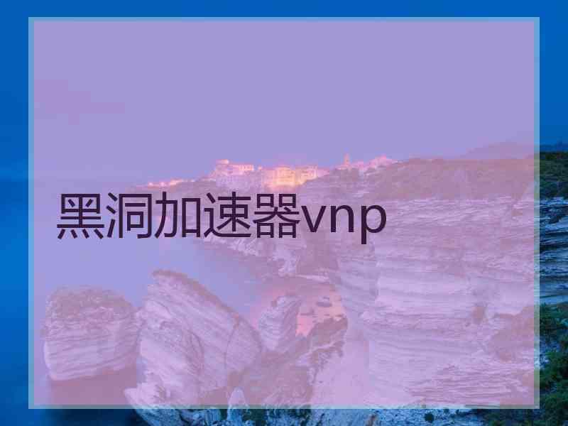 黑洞加速器vnp