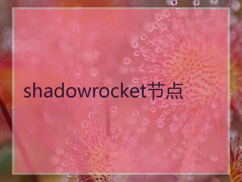 shadowrocket节点