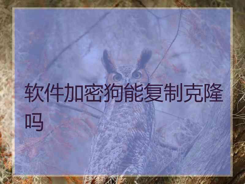 软件加密狗能复制克隆吗