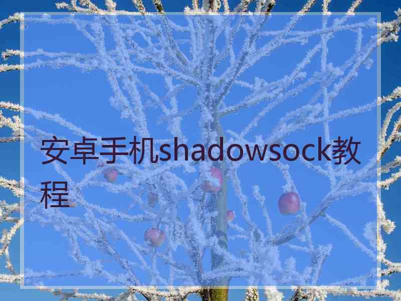 安卓手机shadowsock教程