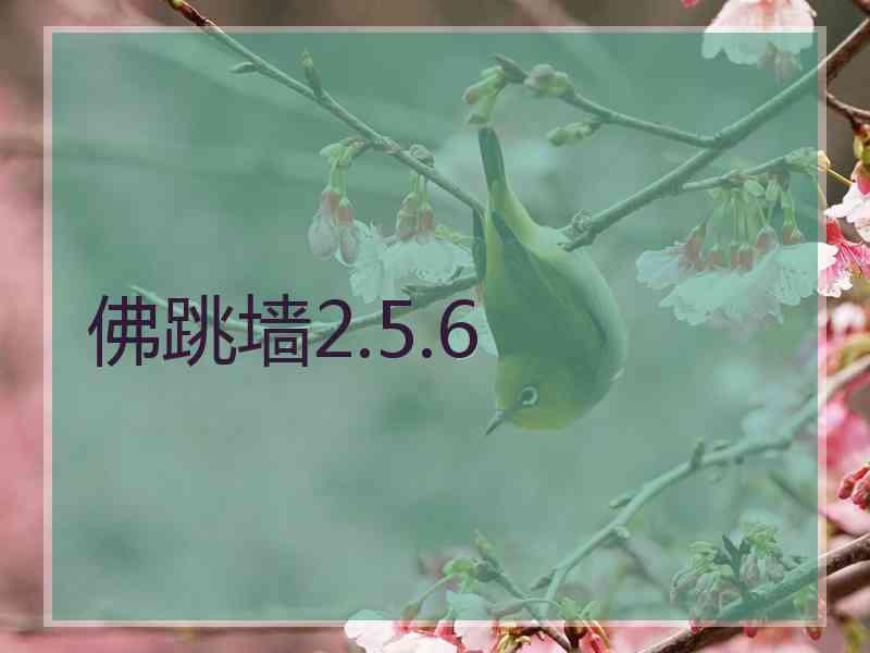 佛跳墙2.5.6