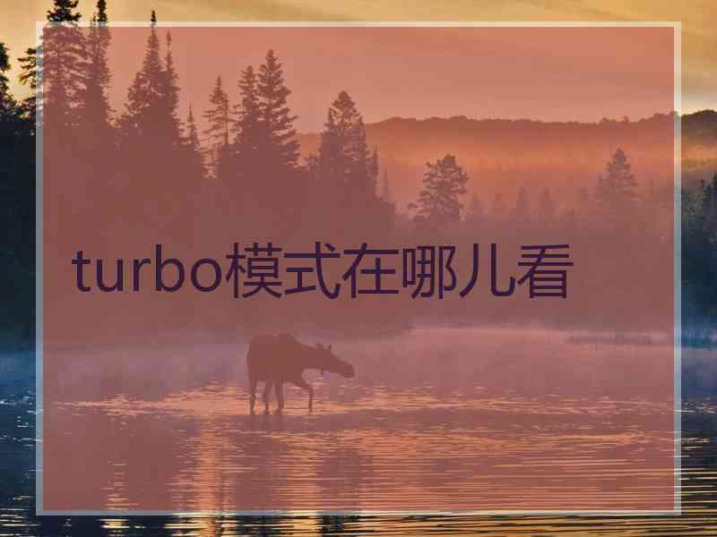 turbo模式在哪儿看