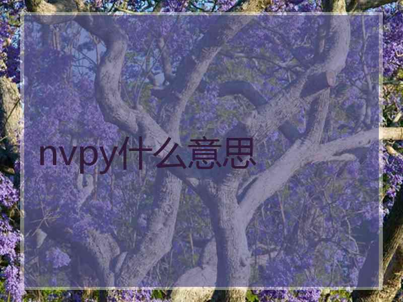 nvpy什么意思