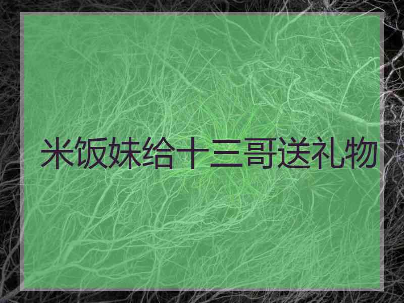 米饭妹给十三哥送礼物