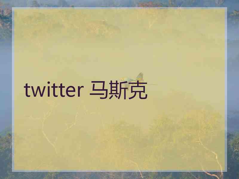 twitter 马斯克