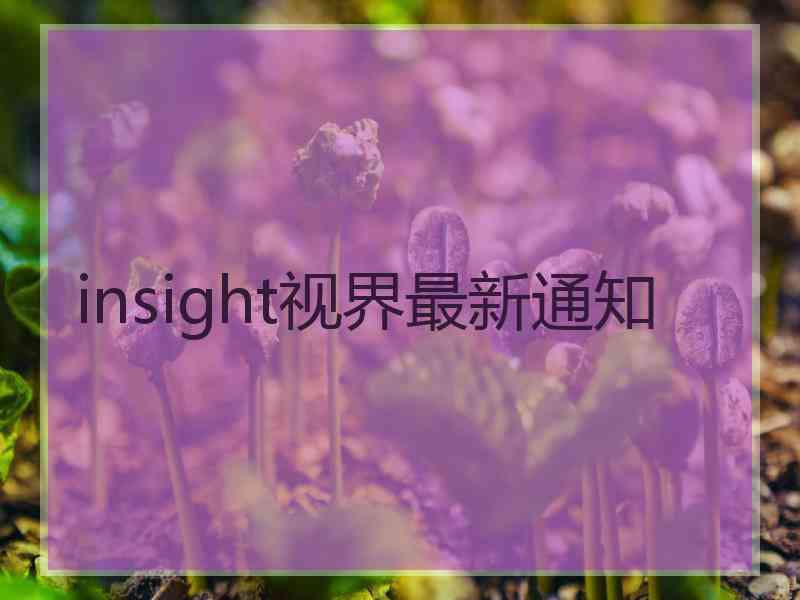 insight视界最新通知