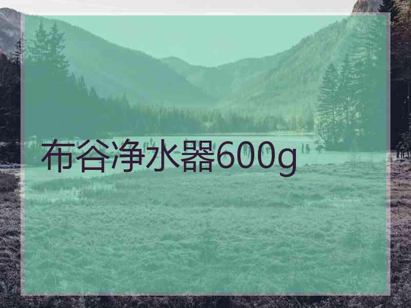 布谷净水器600g