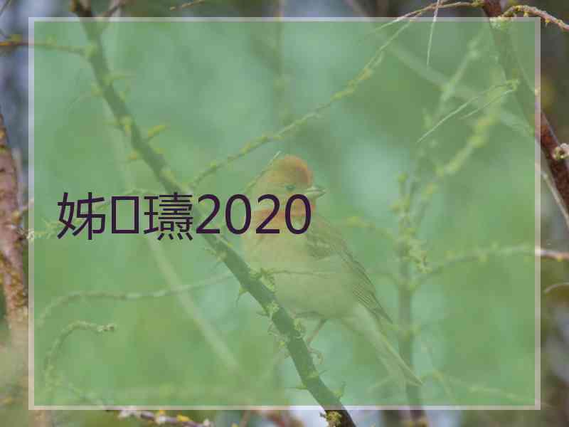 姊瓙2020