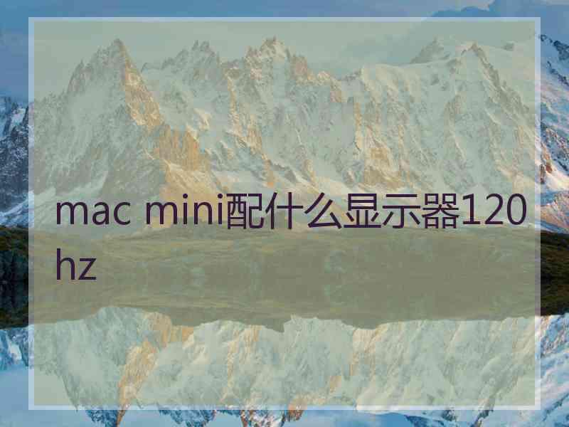 mac mini配什么显示器120hz