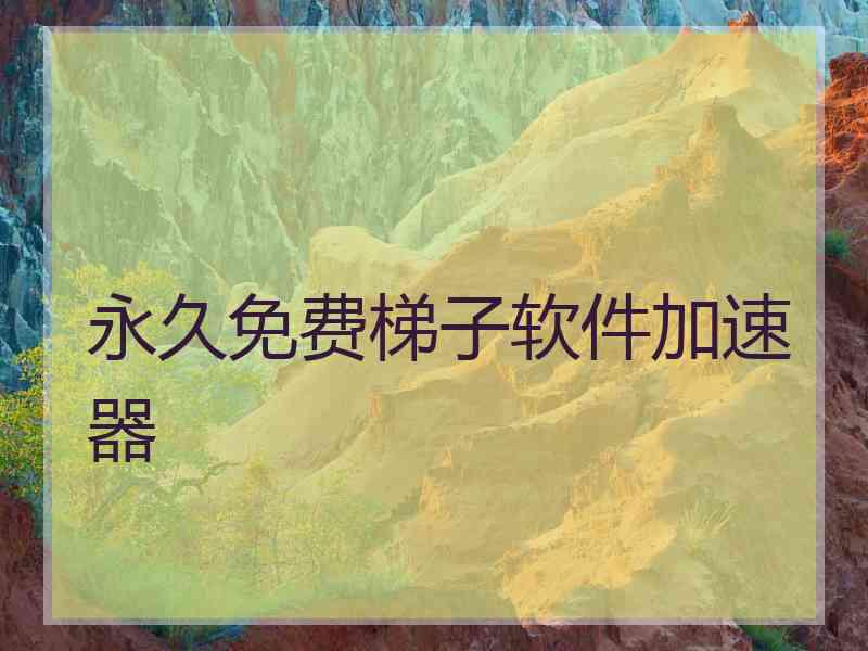 永久免费梯子软件加速器