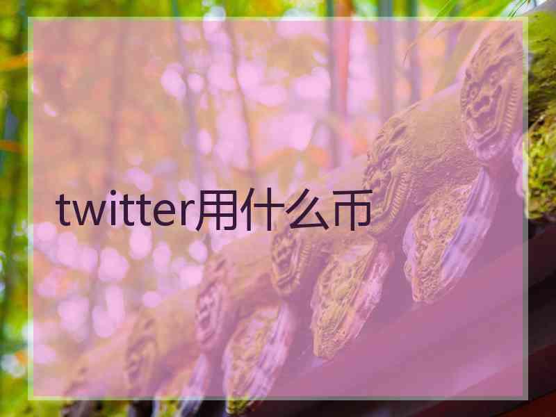 twitter用什么币