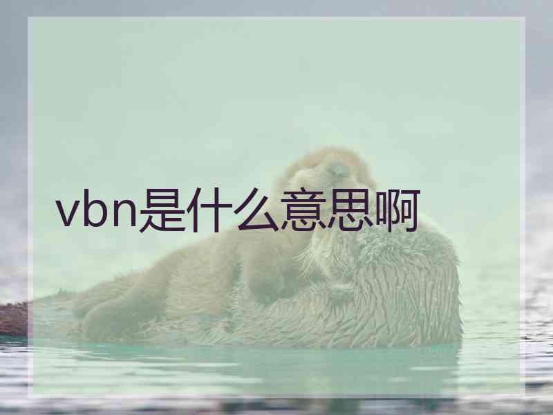 vbn是什么意思啊