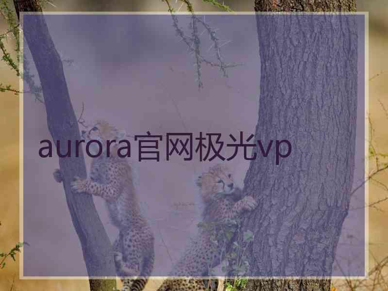 aurora官网极光vp