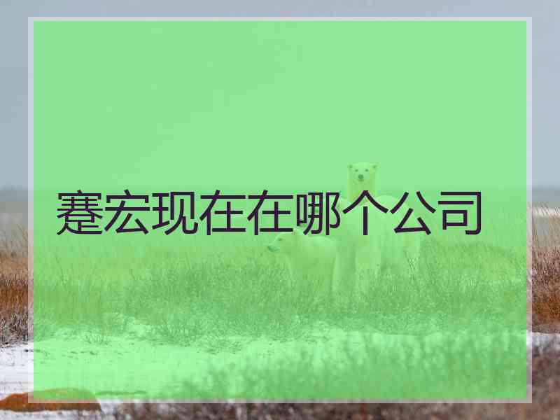 蹇宏现在在哪个公司