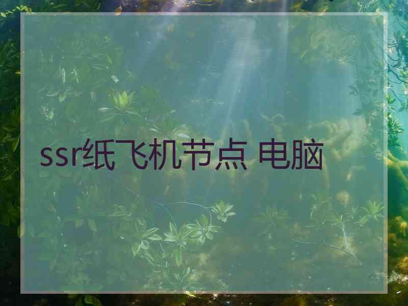 ssr纸飞机节点 电脑