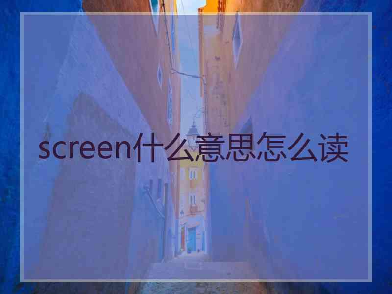 screen什么意思怎么读