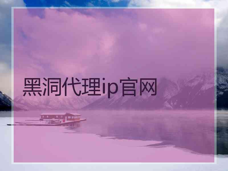 黑洞代理ip官网