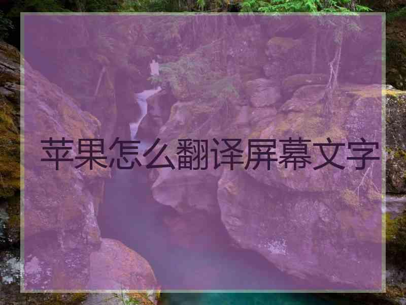 苹果怎么翻译屏幕文字