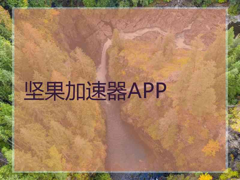 坚果加速器APP