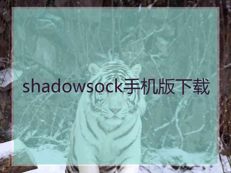 shadowsock手机版下载