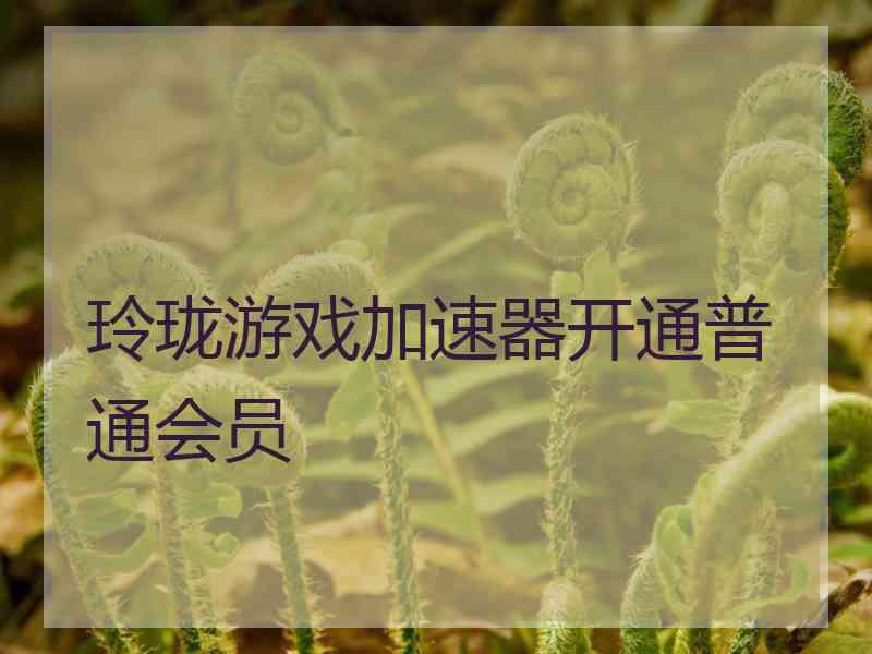 玲珑游戏加速器开通普通会员