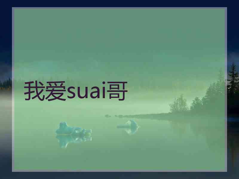 我爱suai哥