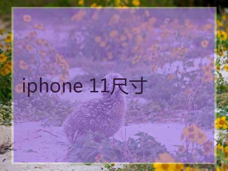 iphone 11尺寸