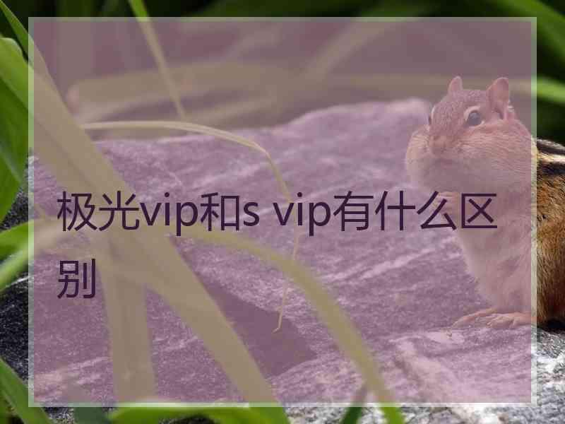 极光vip和s vip有什么区别