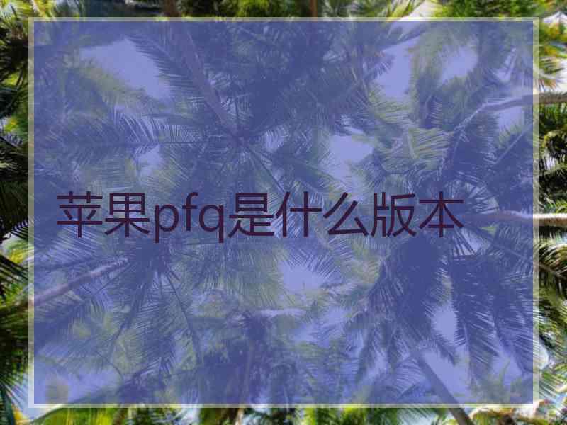 苹果pfq是什么版本