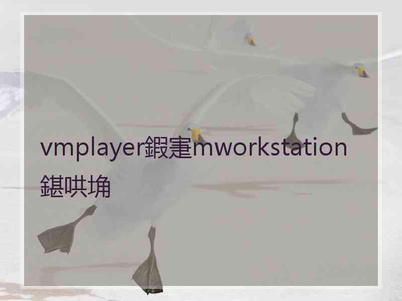 vmplayer鍜寁mworkstation鍖哄埆