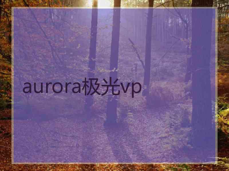 aurora极光vp