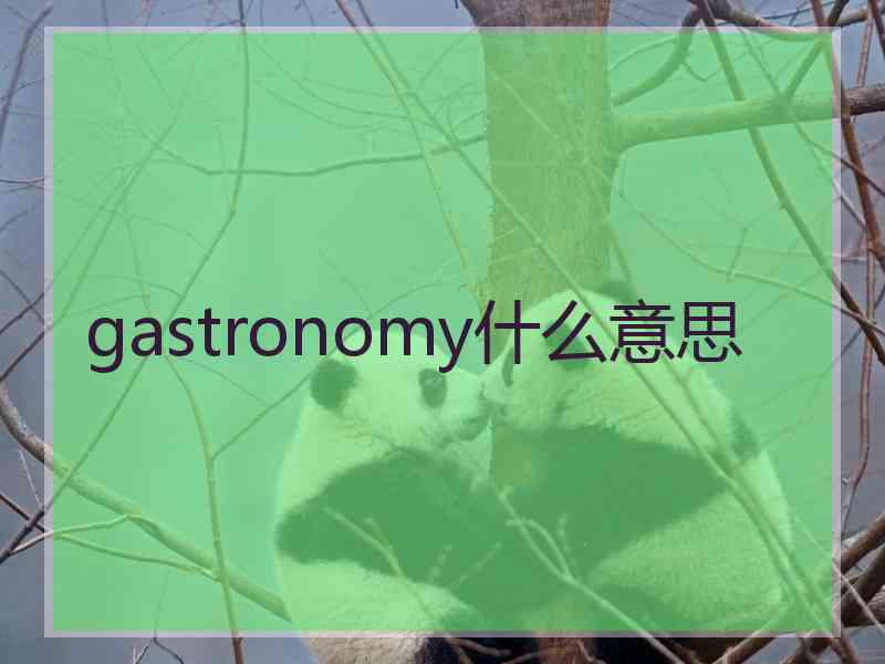 gastronomy什么意思