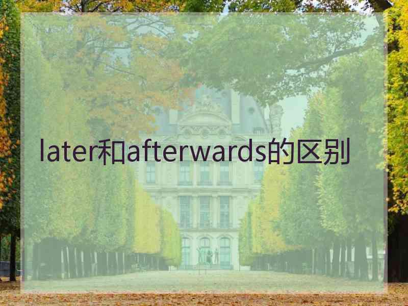 later和afterwards的区别