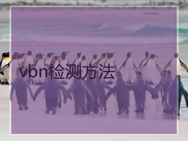 vbn检测方法