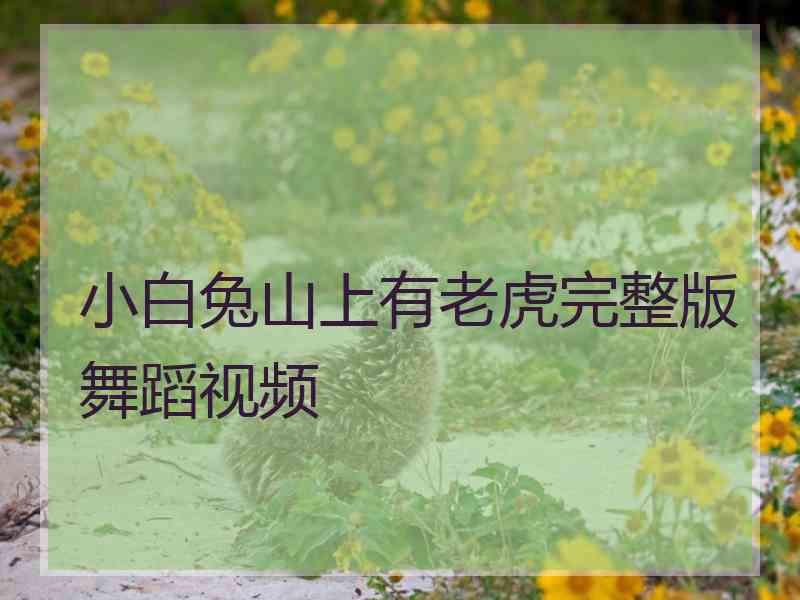 小白兔山上有老虎完整版舞蹈视频