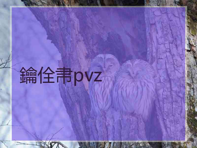 鑰佺帇pvz