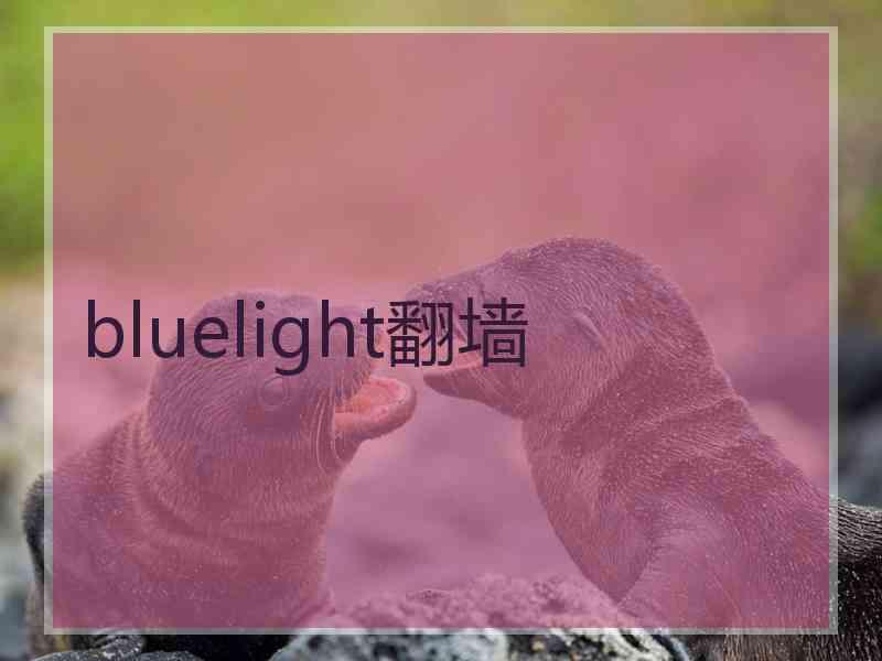 bluelight翻墙