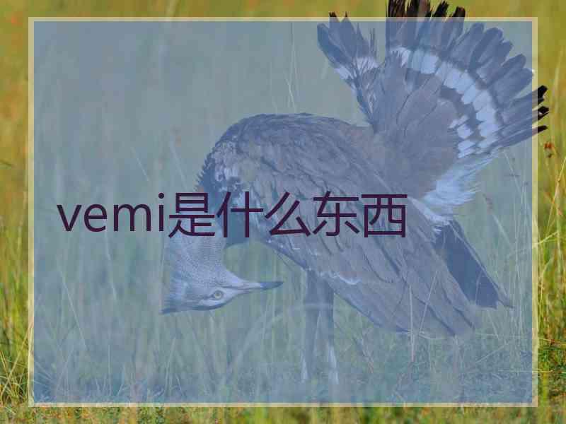 vemi是什么东西