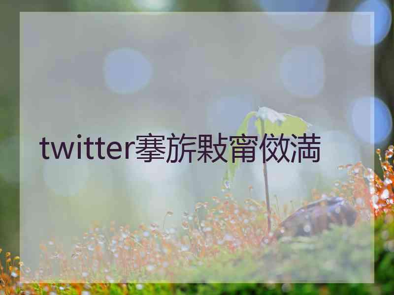 twitter搴旂敤甯傚満