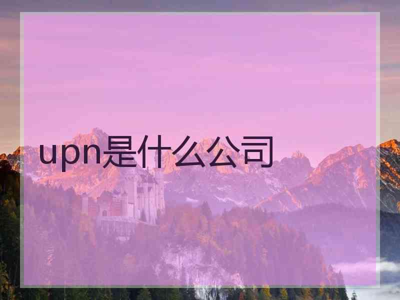 upn是什么公司