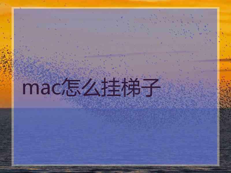 mac怎么挂梯子