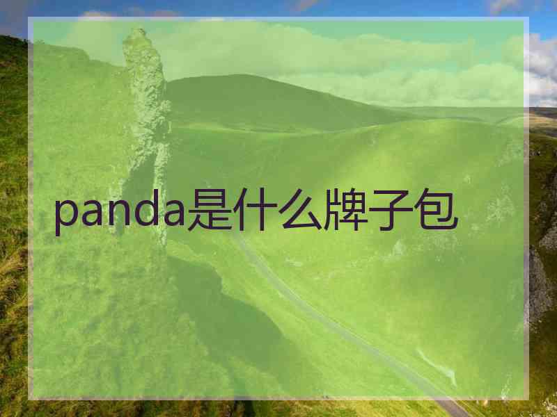 panda是什么牌子包