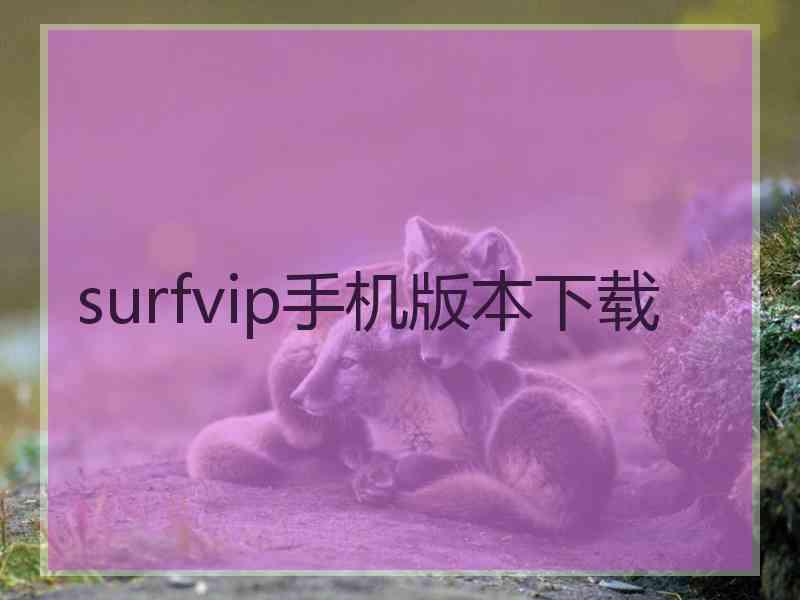 surfvip手机版本下载