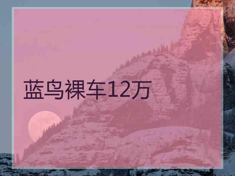 蓝鸟裸车12万