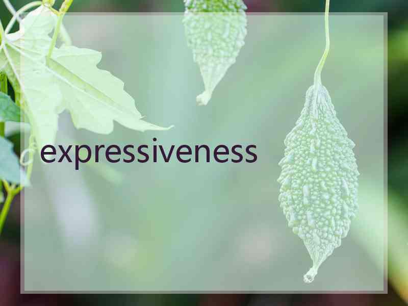 expressiveness