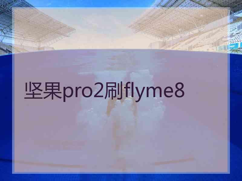 坚果pro2刷flyme8